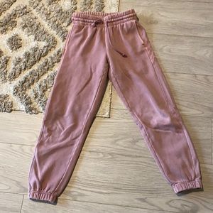 Aritzia tna boyfriend sweatpant
